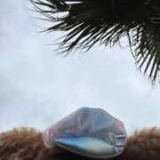 ヒメ日記 2026/03/07 20:14 投稿 ゆうな アニバーサリー