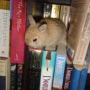 ヒメ日記 2026/03/08 20:43 投稿 ゆうな アニバーサリー