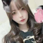 ヒメ日記 2025/02/12 19:04 投稿 ミワ きらめけ！にゃんにゃん学園in大宮