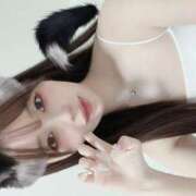 ヒメ日記 2025/04/27 18:52 投稿 ミワ きらめけ！にゃんにゃん学園in大宮