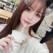 ヒメ日記 2025/05/15 20:49 投稿 ミワ きらめけ！にゃんにゃん学園in大宮