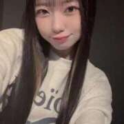 せりな つーるりんっ アニバーサリー