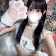 ヒメ日記 2025/04/08 23:53 投稿 あおば アニバーサリー