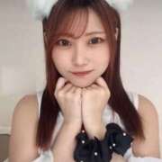 ヒメ日記 2025/02/27 12:17 投稿 なのか 黒い金魚（札幌）