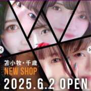 ヒメ日記 2025/05/30 20:17 投稿 なのか 黒い金魚（札幌）