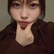 ヒメ日記 2026/03/13 15:20 投稿 なのか 黒い金魚（札幌）