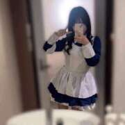 ヒメ日記 2026/03/17 17:00 投稿 なのか 黒い金魚（札幌）