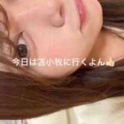 ヒメ日記 2026/09/04 02:00 投稿 なのか 黒い金魚（札幌）