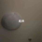 ヒメ日記 2026/09/15 02:40 投稿 なのか 黒い金魚（札幌）