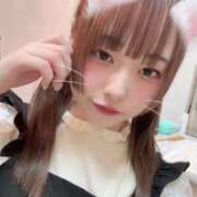 ヒメ日記 2025/02/01 15:02 投稿 まつり 黒い金魚（札幌）