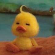 ヒメ日記 2025/02/27 15:07 投稿 ふうか 黒い金魚（札幌）