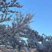 ヒメ日記 2025/05/03 20:13 投稿 ふうか 黒い金魚（札幌）