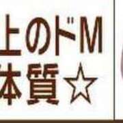 ヒメ日記 2025/06/07 00:17 投稿 ふうか 黒い金魚（札幌）