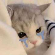 ヒメ日記 2025/11/01 20:50 投稿 ふうか 黒い金魚（札幌）