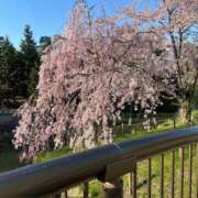 ヒメ日記 2025/05/07 18:43 投稿 TINA（てぃな） UTAKATA