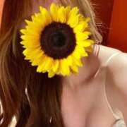 ヒメ日記 2025/03/21 12:06 投稿 HIMAWARI（ひまわり） UTAKATA