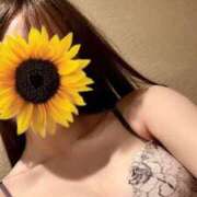 ヒメ日記 2025/06/04 14:23 投稿 HIMAWARI（ひまわり） UTAKATA