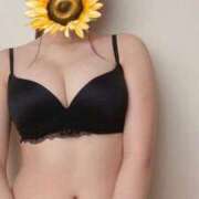 ヒメ日記 2025/06/12 18:24 投稿 HIMAWARI（ひまわり） UTAKATA