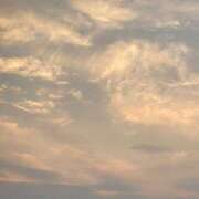 ヒメ日記 2025/06/12 21:23 投稿 HIMAWARI（ひまわり） UTAKATA