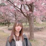 ヒメ日記 2025/04/27 21:13 投稿 TETO（てと） UTAKATA