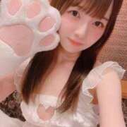 ヒメ日記 2025/06/11 21:33 投稿 TETO（てと） UTAKATA