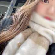 HOMARE （ほまれ） お気に入り✨ UTAKATA