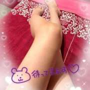 ヒメ日記 2025/02/15 10:26 投稿 あまね ペペピィーノ