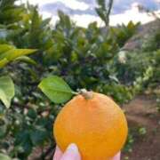 ヒメ日記 2024/12/15 22:53 投稿 みさき もしも素敵な妻が指輪をはずしたら・・・カーラ