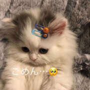 ヒメ日記 2025/04/23 10:07 投稿 みさき もしも素敵な妻が指輪をはずしたら・・・カーラ