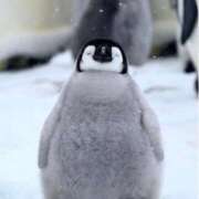 ヒメ日記 2025/05/19 13:43 投稿 みさき もしも素敵な妻が指輪をはずしたら・・・カーラ