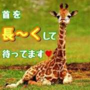 ヒメ日記 2025/09/26 08:33 投稿 みさき もしも素敵な妻が指輪をはずしたら・・・カーラ