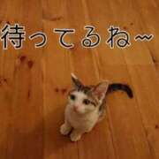 ヒメ日記 2026/02/20 08:39 投稿 みさき もしも素敵な妻が指輪をはずしたら・・・カーラ