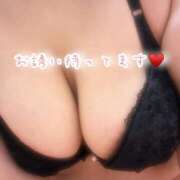 ヒメ日記 2026/02/20 11:45 投稿 るみな 丸妻 新横浜店