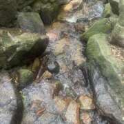 ヒメ日記 2025/08/22 10:46 投稿 れいな 熟女家 京橋店