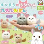 ヒメ日記 2025/02/10 19:51 投稿 ももな 船橋ときめき女学園