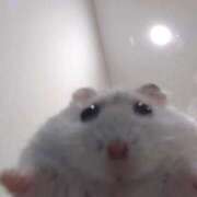 ヒメ日記 2025/08/24 16:11 投稿 ももな 船橋ときめき女学園