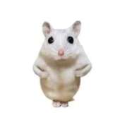 ヒメ日記 2025/10/28 16:31 投稿 ももな 船橋ときめき女学園