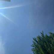 ヒメ日記 2025/08/27 12:57 投稿 なるみ 無我（むが）