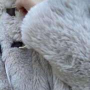 ヒメ日記 2025/12/19 12:56 投稿 なるみ 無我（むが）