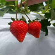 ヒメ日記 2025/03/20 00:02 投稿 こころ HAND BITCH(ハンドビッチ)