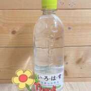 ヒメ日記 2025/08/07 00:02 投稿 こころ HAND BITCH(ハンドビッチ)