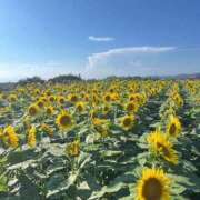 ヒメ日記 2025/08/27 11:52 投稿 こころ HAND BITCH(ハンドビッチ)