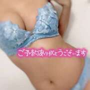 ヒメ日記 2025/11/11 14:06 投稿 れい 奥鉄オクテツ東京店（デリヘル市場）