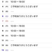 ヒメ日記 2025/11/27 09:00 投稿 れい 奥鉄オクテツ東京店（デリヘル市場）