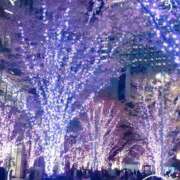 ヒメ日記 2024/12/19 13:50 投稿 みれい 上野デリヘル倶楽部