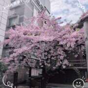 ヒメ日記 2025/03/20 15:41 投稿 みれい 上野デリヘル倶楽部