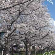 ヒメ日記 2025/03/31 19:18 投稿 みれい 上野デリヘル倶楽部