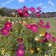 ヒメ日記 2025/10/12 18:48 投稿 みれい 上野デリヘル倶楽部