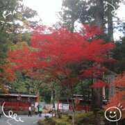 ヒメ日記 2025/11/12 18:56 投稿 みれい 上野デリヘル倶楽部