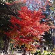 ヒメ日記 2025/11/20 16:56 投稿 みれい 上野デリヘル倶楽部